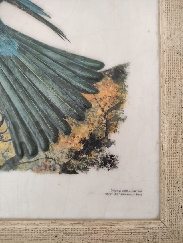 Cuadro lámina enmarcada