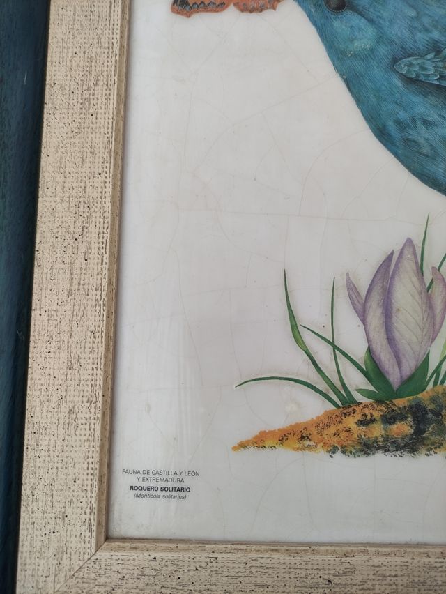 Cuadro lámina enmarcada