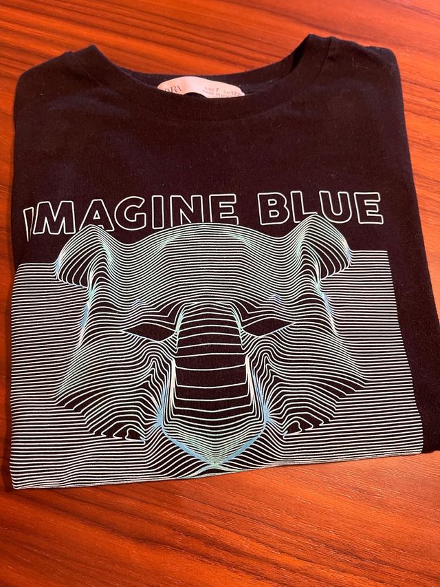 Camiseta de zara