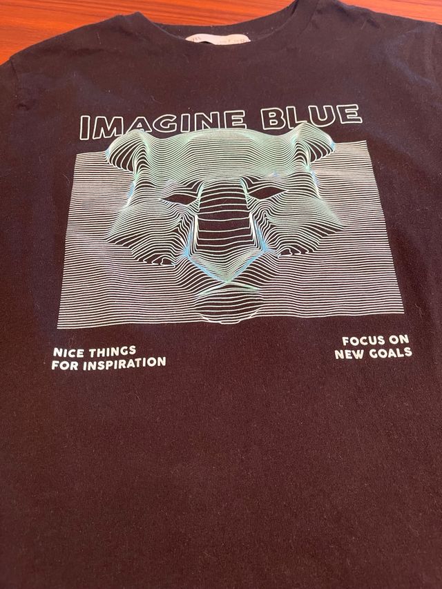 Camiseta de zara