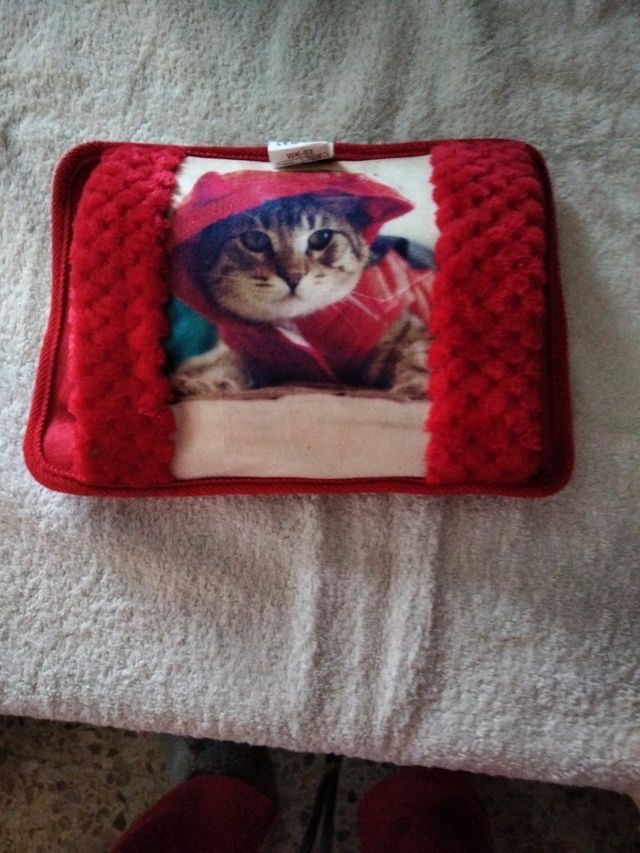 bolsa de agua calienta manos gato