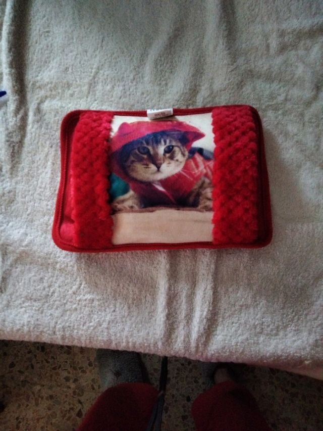 bolsa de agua calienta manos gato