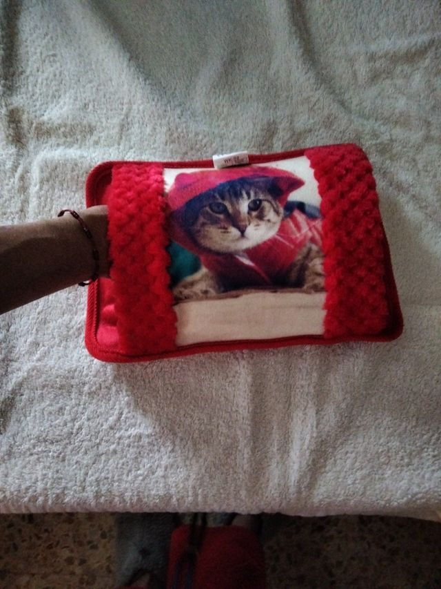 bolsa de agua calienta manos gato
