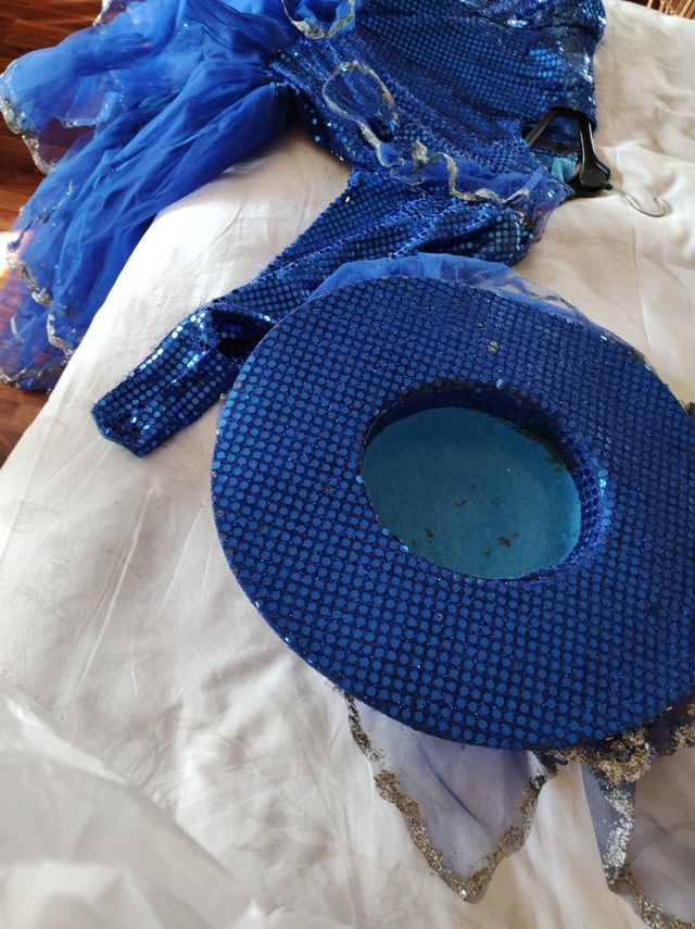 Vestido Versalles adulto Carnaval de Tul