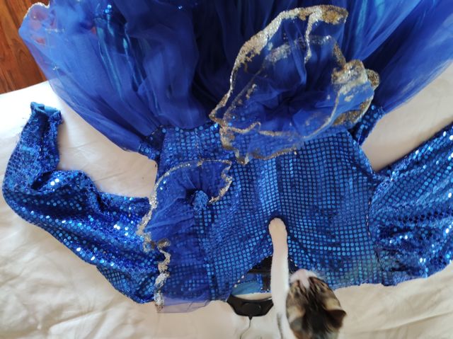 Vestido Versalles adulto Carnaval de Tul