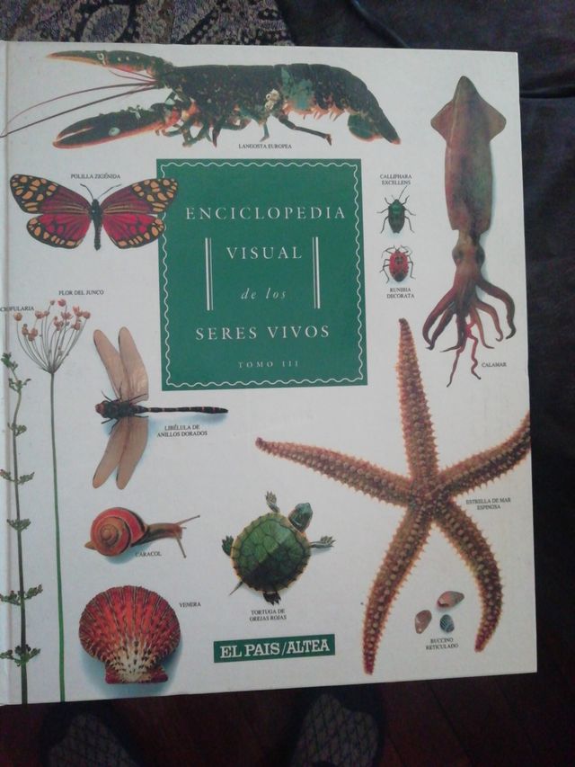 Enciclopedia visual
