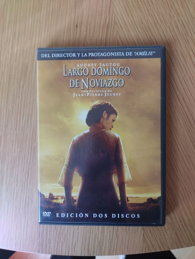 DVD largo domingo de noviazgo