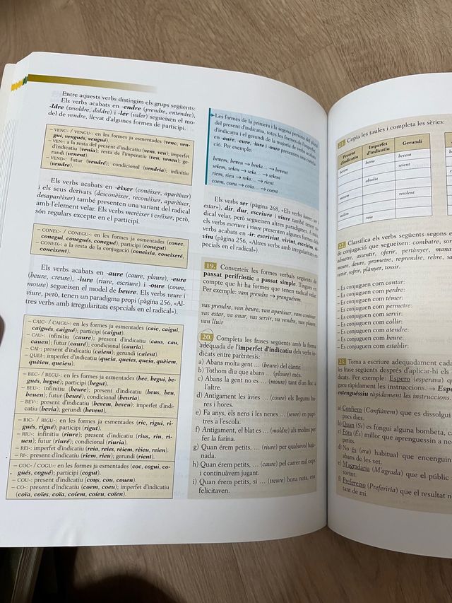 Lengua catalana y literatura