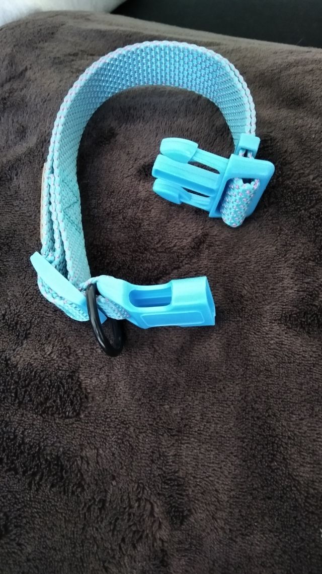 collar perro pequeño