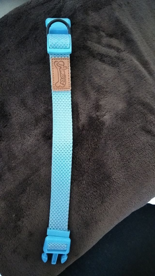 collar perro pequeño