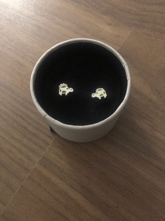 Pendientes pequeños de plata