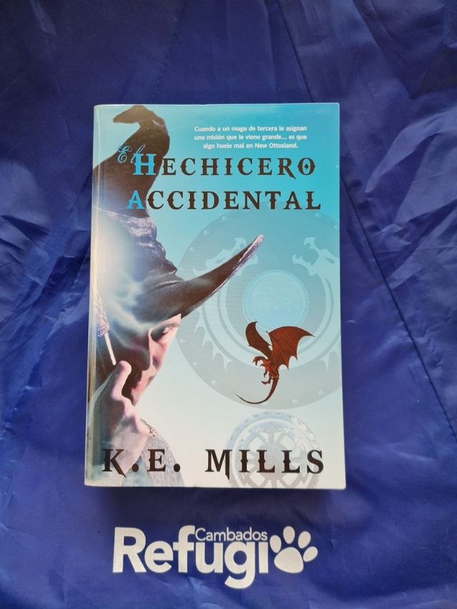 El hechicero accidental