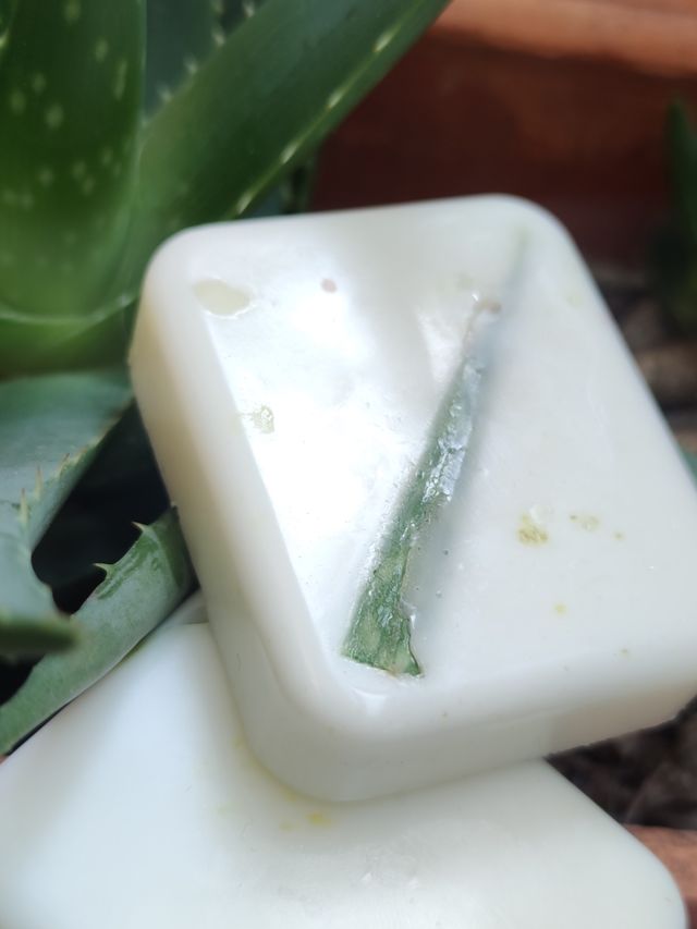 Jabones de Aloe Vera