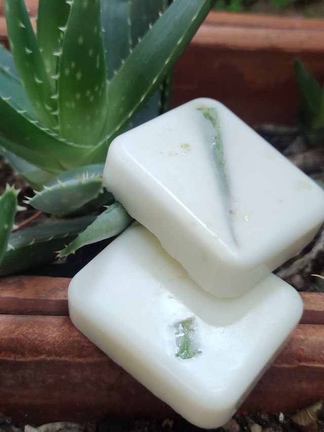 Jabones de Aloe Vera