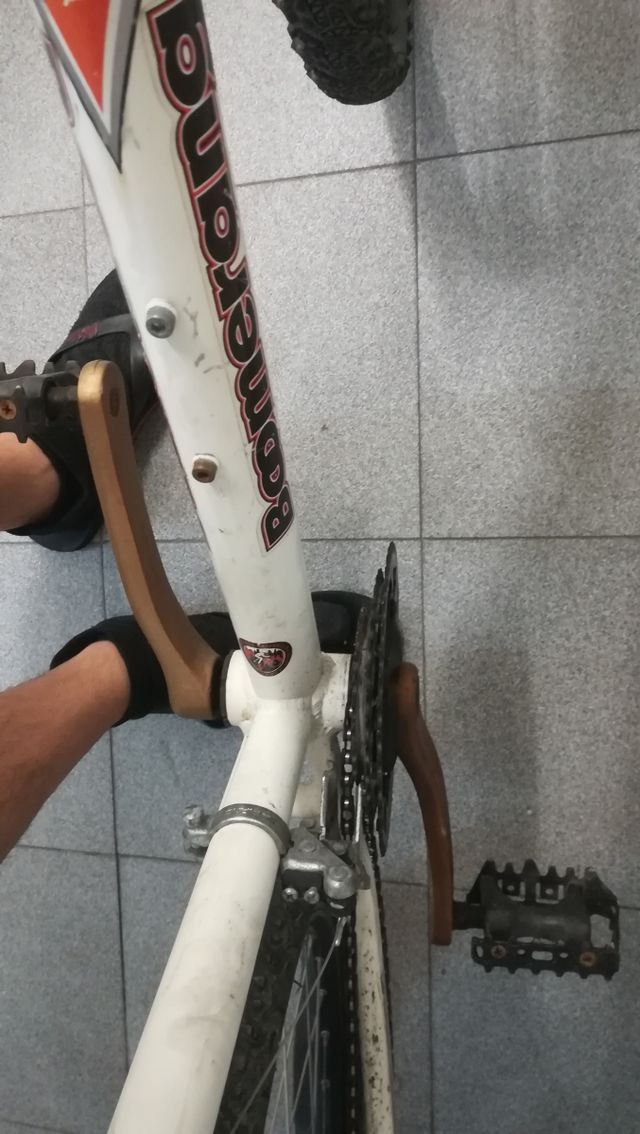 Mountain bike per adulti