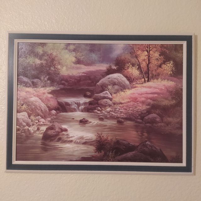 2 cuadros con marco de madera.