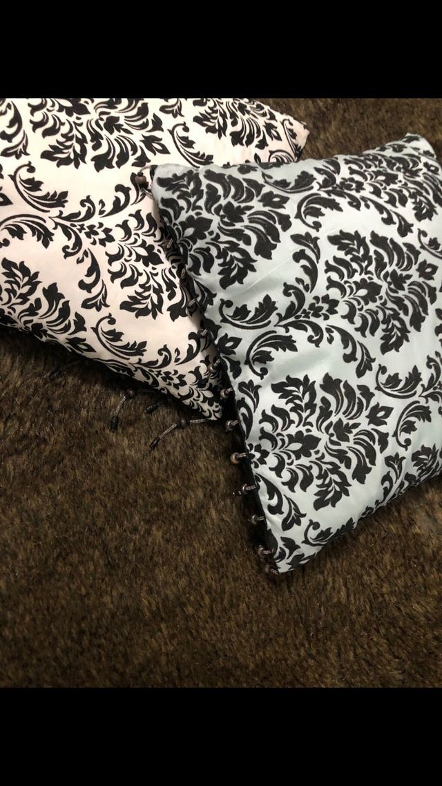 3 cojines ,comprados de Loja do gato Preto