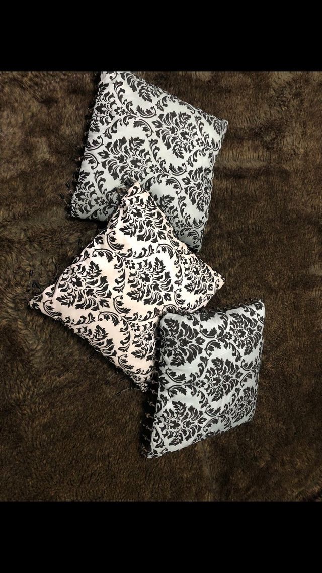 3 cojines ,comprados de Loja do gato Preto