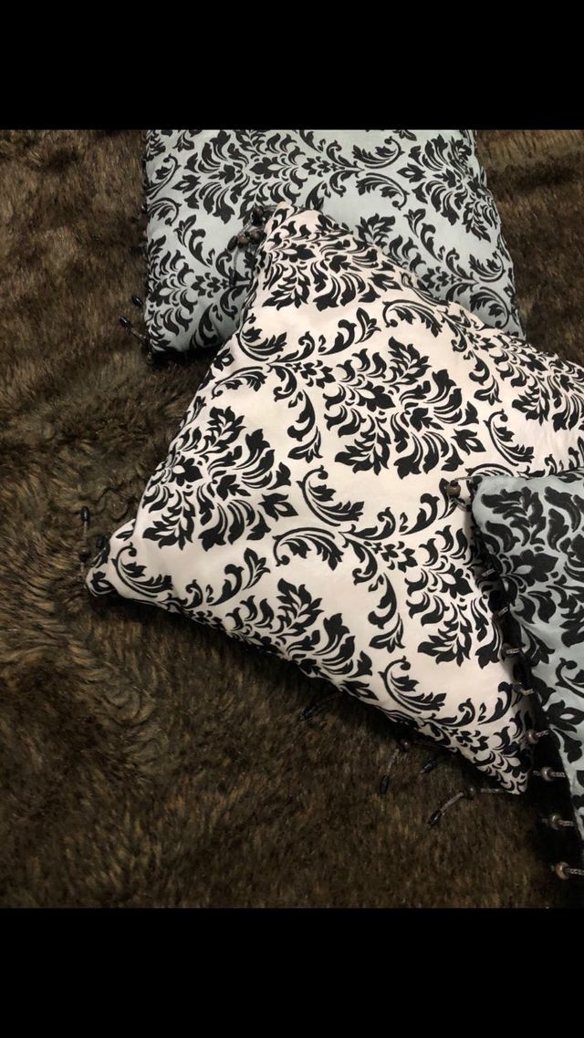 3 cojines ,comprados de Loja do gato Preto