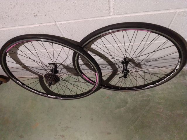 Ruedas de carretera Orbea XT