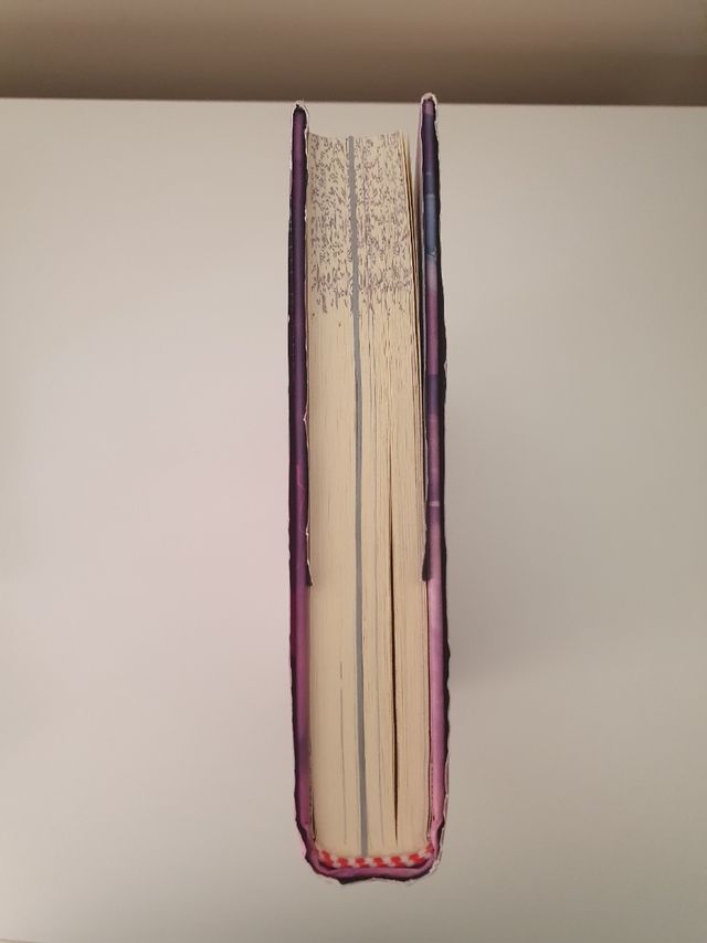 Libro Bruja de las Tormentas