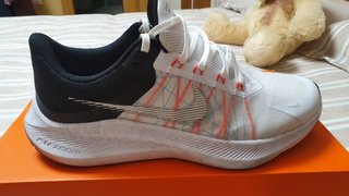 las 5 SNEAKERS \