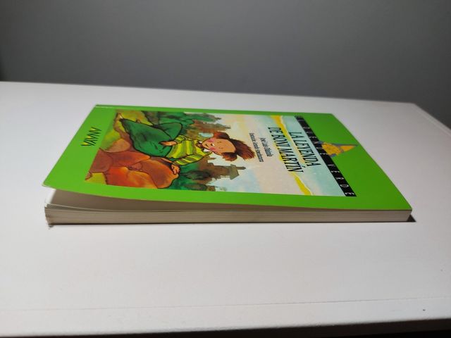 Libro. La Leyenda de Boni Martín.