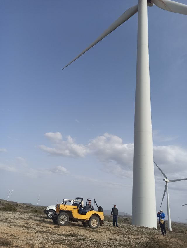 Colección Veh. Clasicos