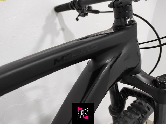 Whistle Mojag Talla M