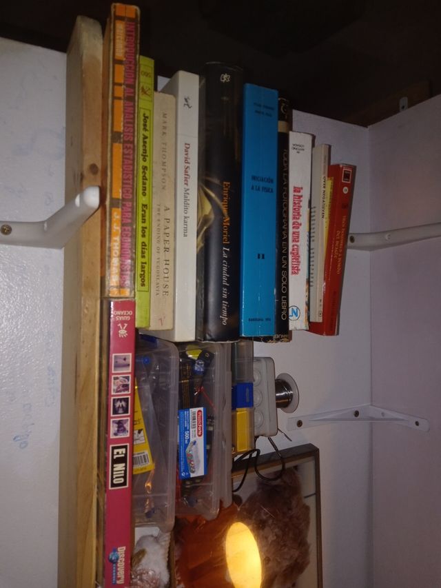 muñecas ,,dante divina comedia.dieta Atkins cocina