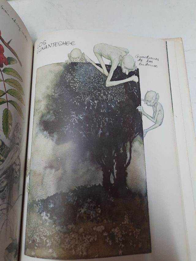 Libro HADAS de editorial Montana.