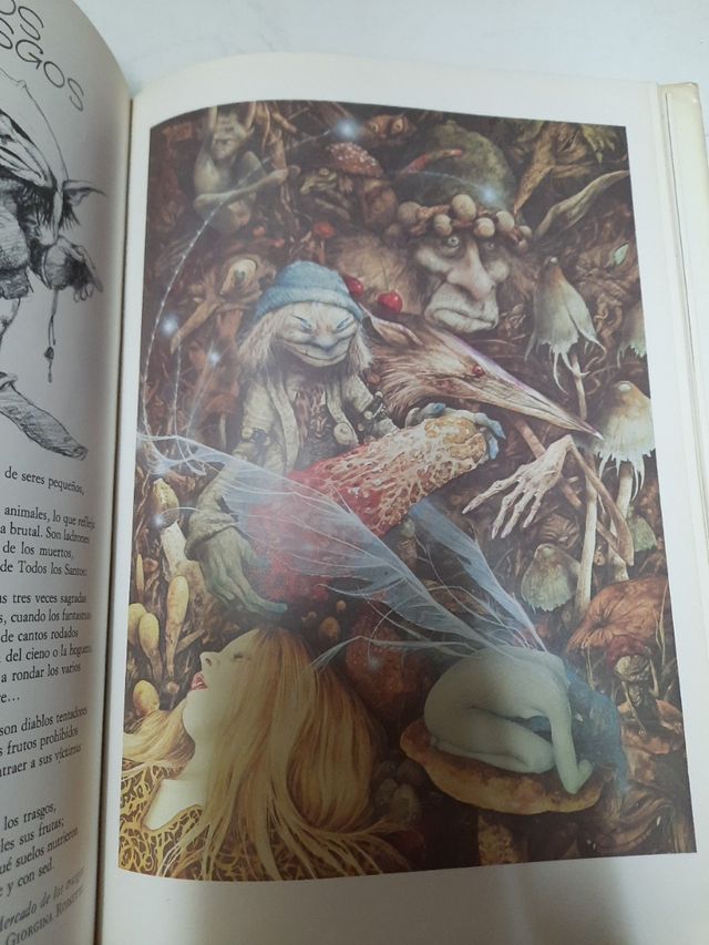 Libro HADAS de editorial Montana.