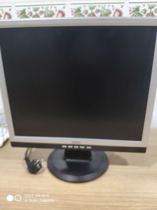 Monitor LCD 19 Targa visionary de 