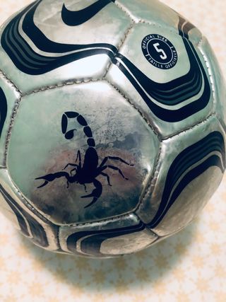Balon original nike plata Chrome scorpion de segunda mano por 49,99 EUR en  Las Villas de Nuevo Baztan en WALLAPOP