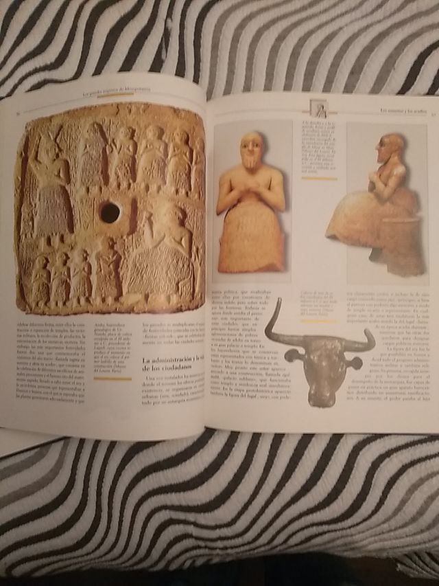 historia de la humanidad