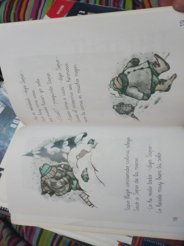 libro sapo y sepo un año entero