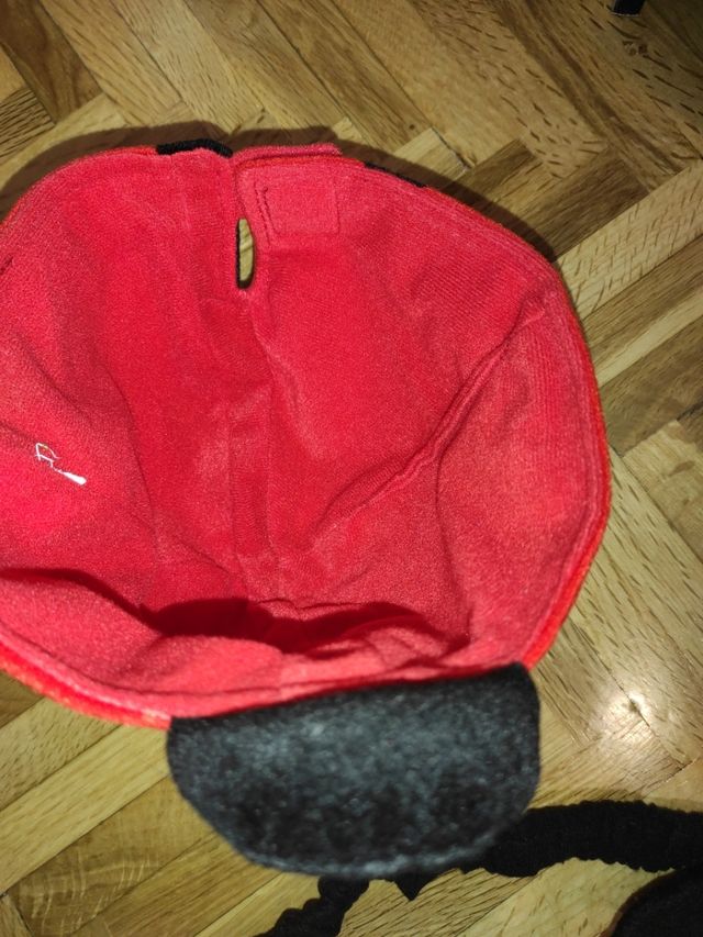 @disfraz de mariquita @infantil