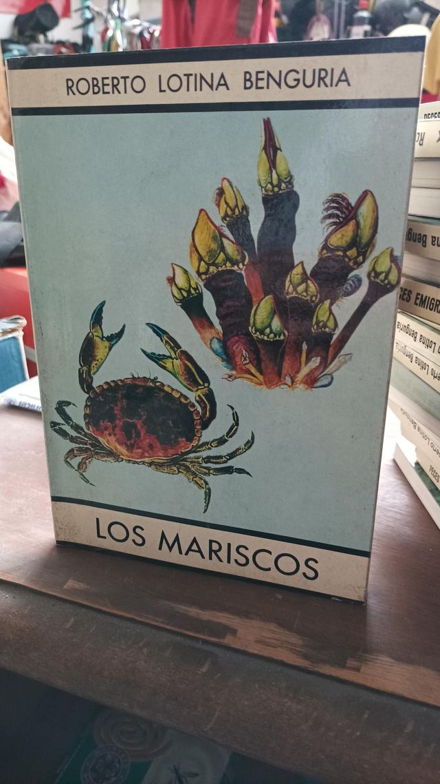 Libros Guias antiguos