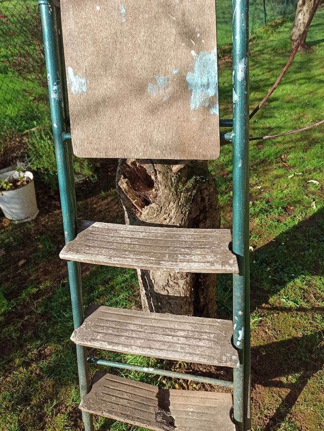 Escalera antigua de hierro de pintor.