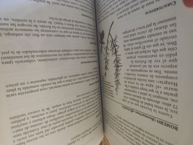 Plantas medicinales y curativas