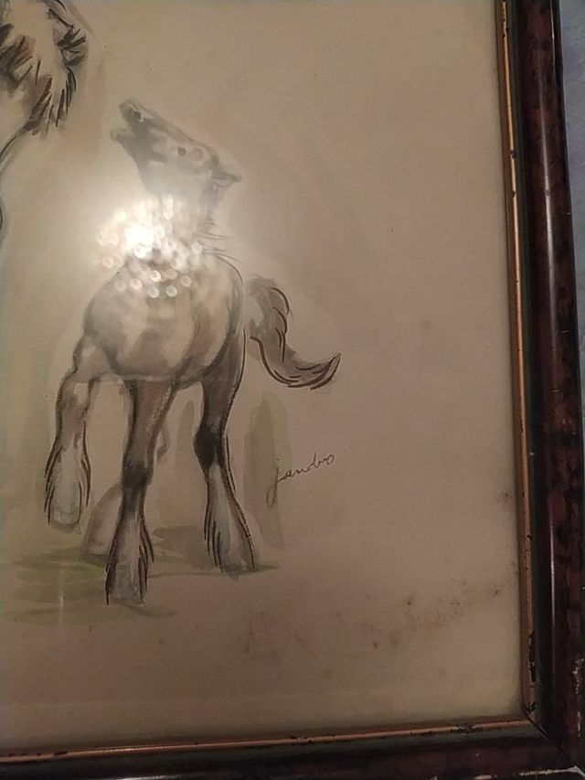 caballos de Jandro