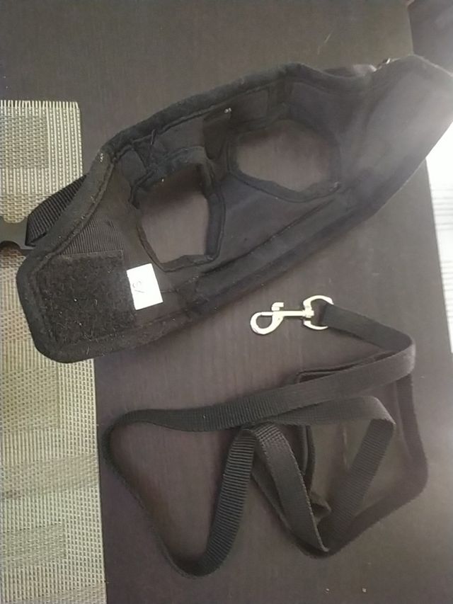 arnes perro pequeño talla xs