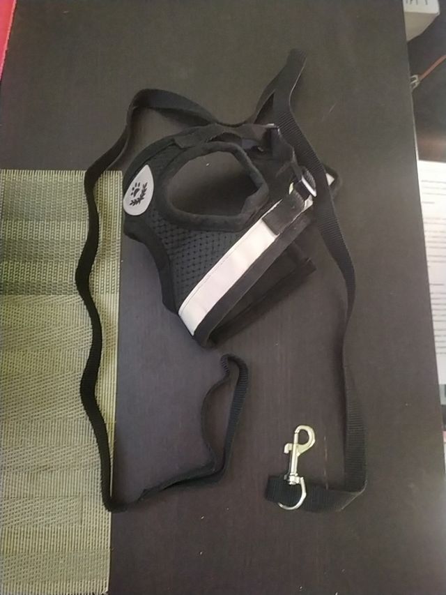 arnes perro pequeño talla xs