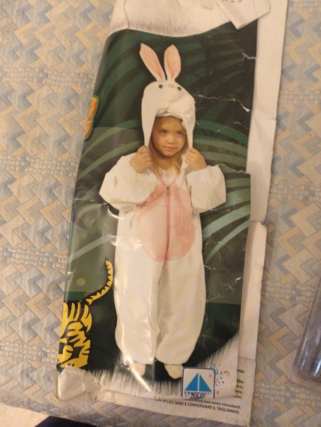 vestito carnevale peluche