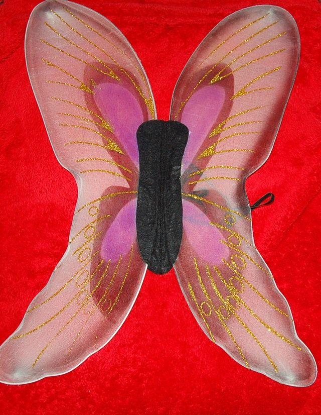 Disfraz mariposa . Infantil