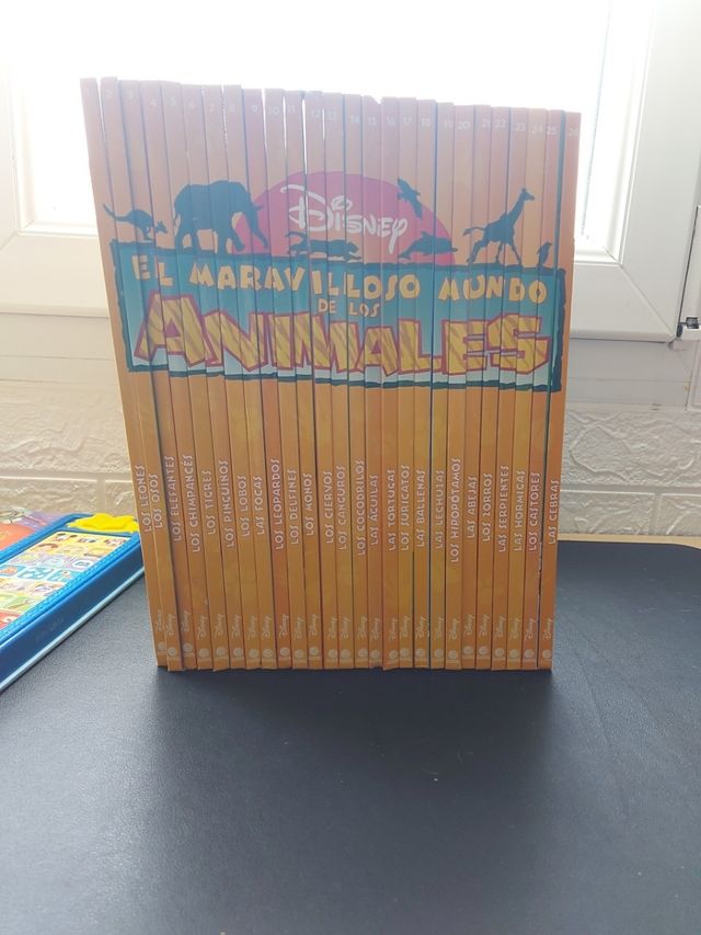 maravillos mundo de los animales