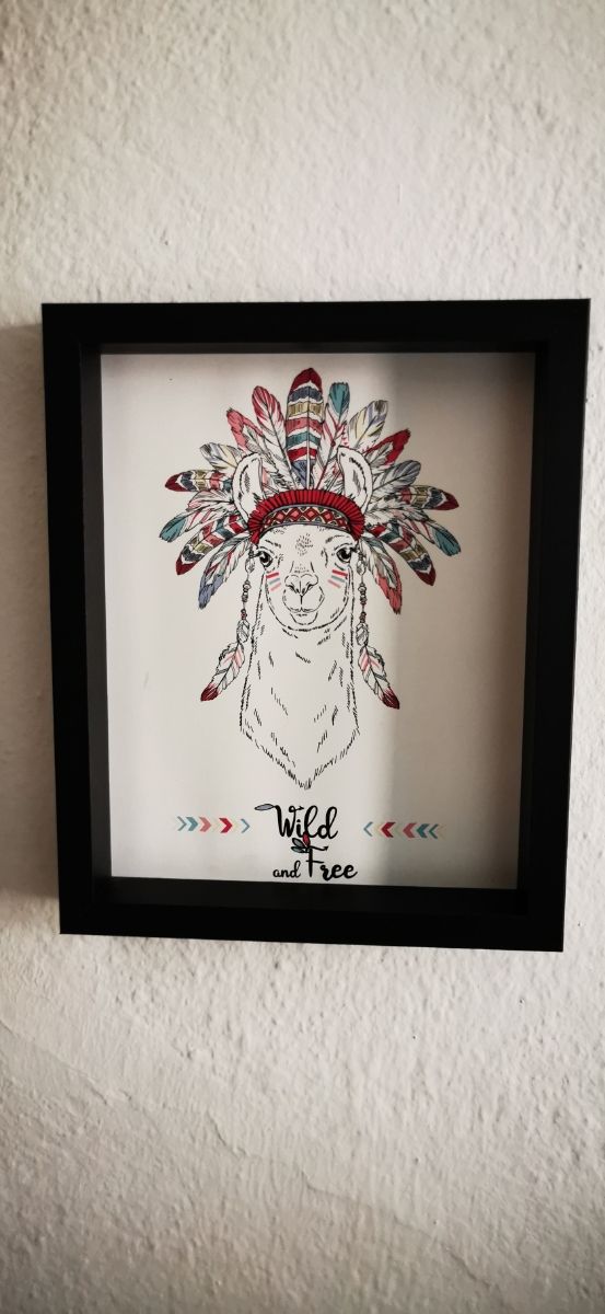 cuadro llama indio Wild and free