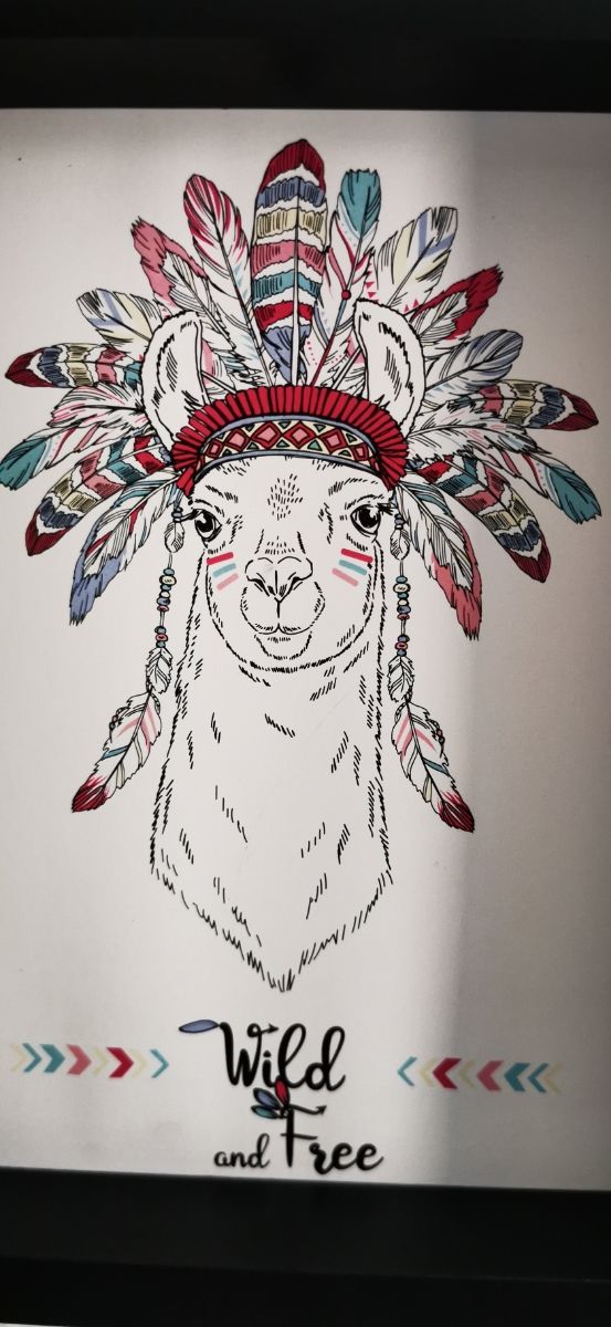 cuadro llama indio Wild and free