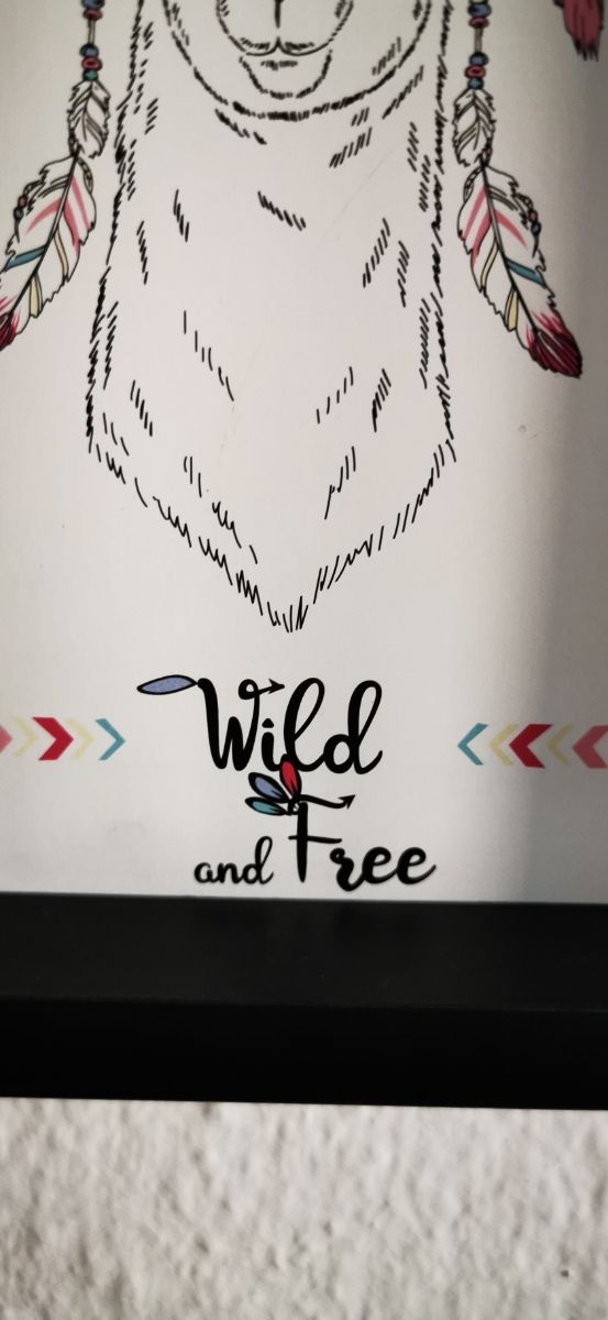cuadro llama indio Wild and free