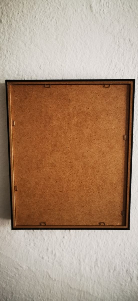 cuadro llama indio Wild and free